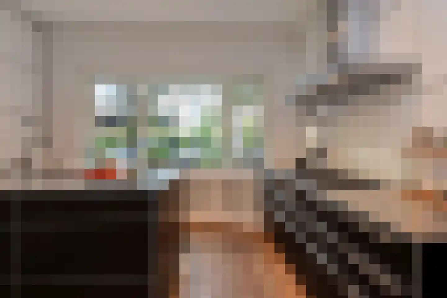 Pauwenlaan 85 Den Haag thumbnail 20