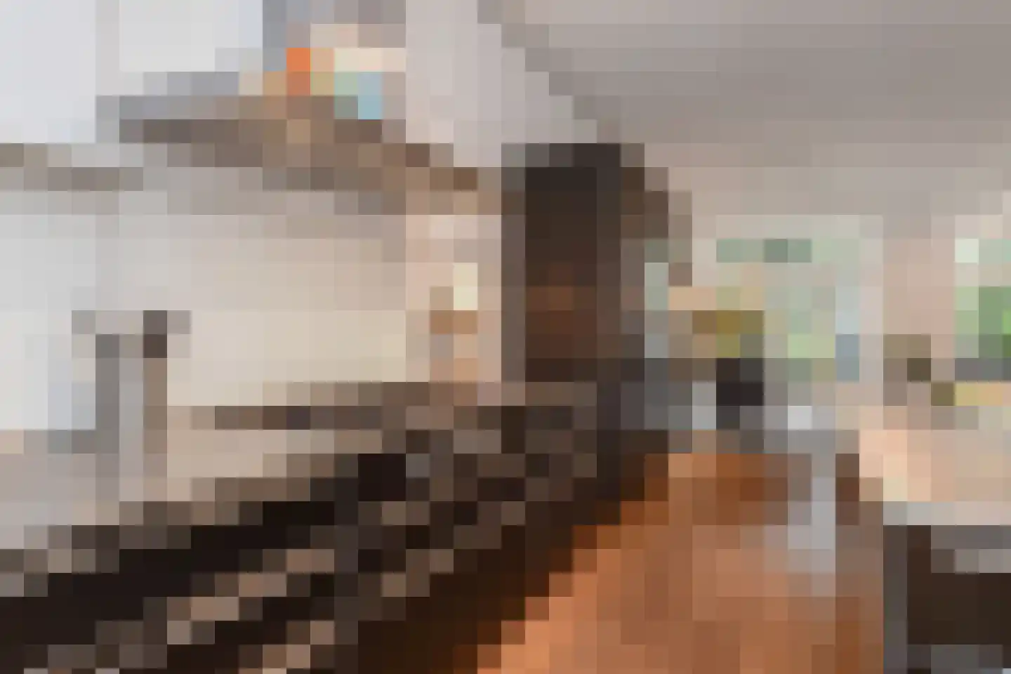 Pauwenlaan 85 Den Haag thumbnail 23
