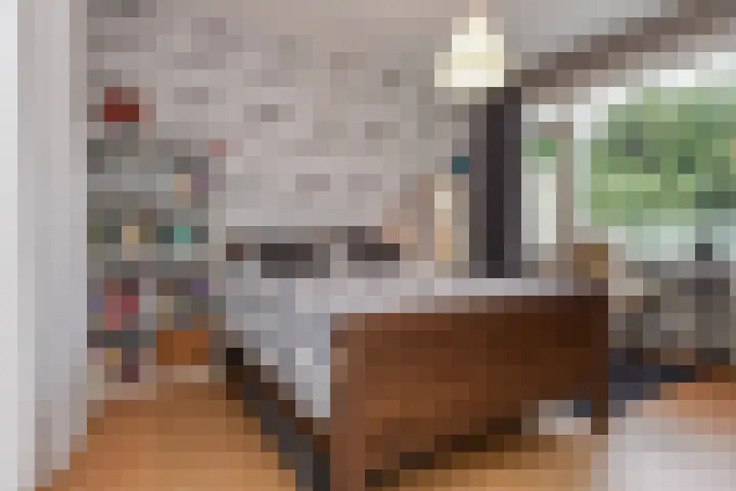 Pauwenlaan 85 Den Haag thumbnail 25
