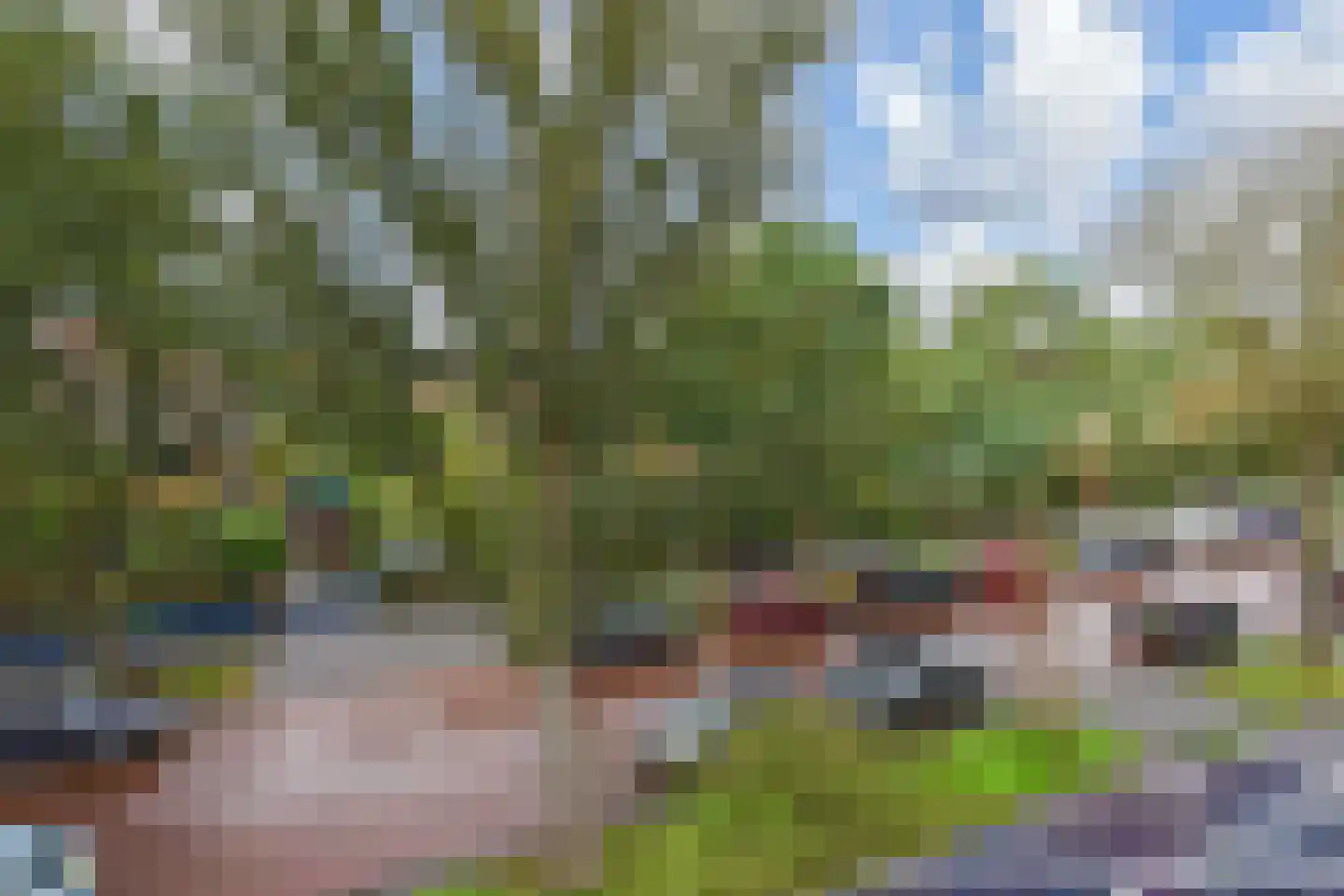 Pauwenlaan 85 Den Haag thumbnail 32