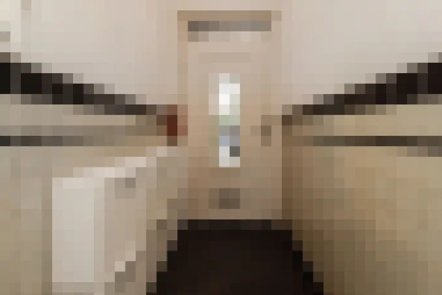 Pauwenlaan 85 Den Haag thumbnail 44