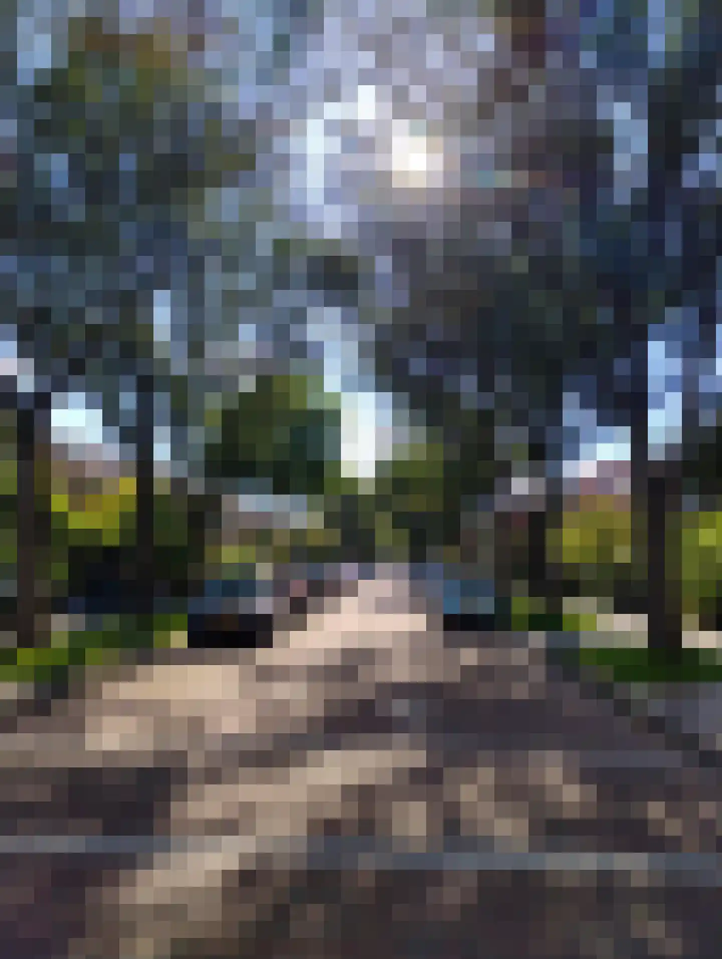 Pauwenlaan 85 Den Haag thumbnail 5