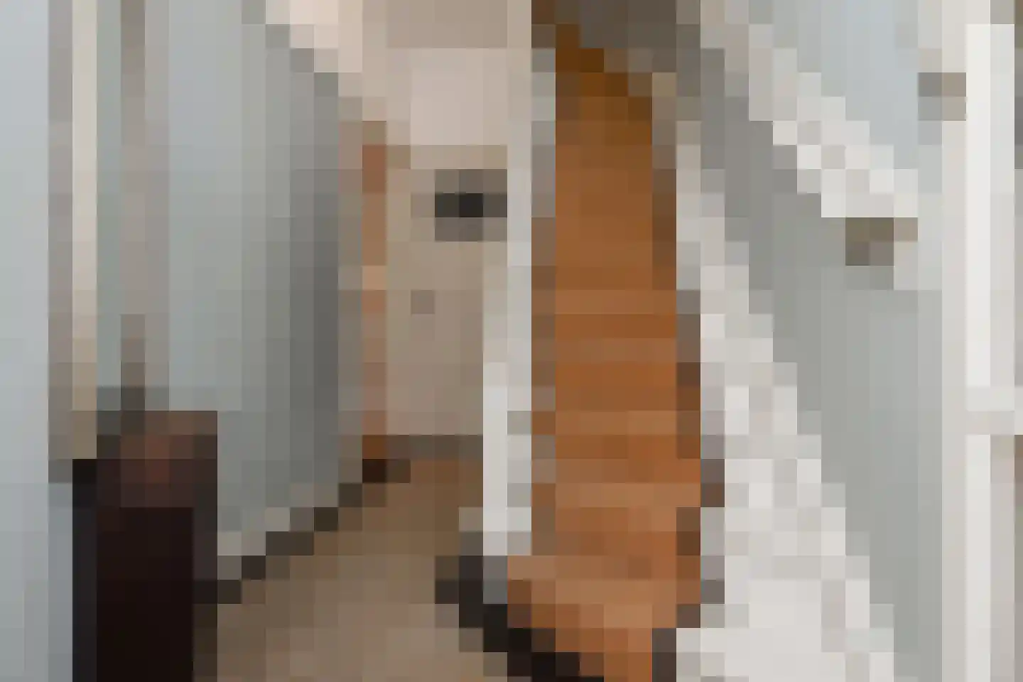 Pauwenlaan 85 Den Haag thumbnail 8