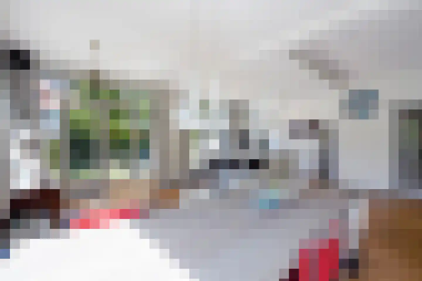 Pauwenlaan 89 Den Haag thumbnail 14