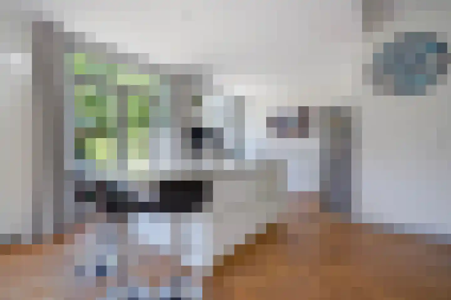 Pauwenlaan 89 Den Haag thumbnail 16