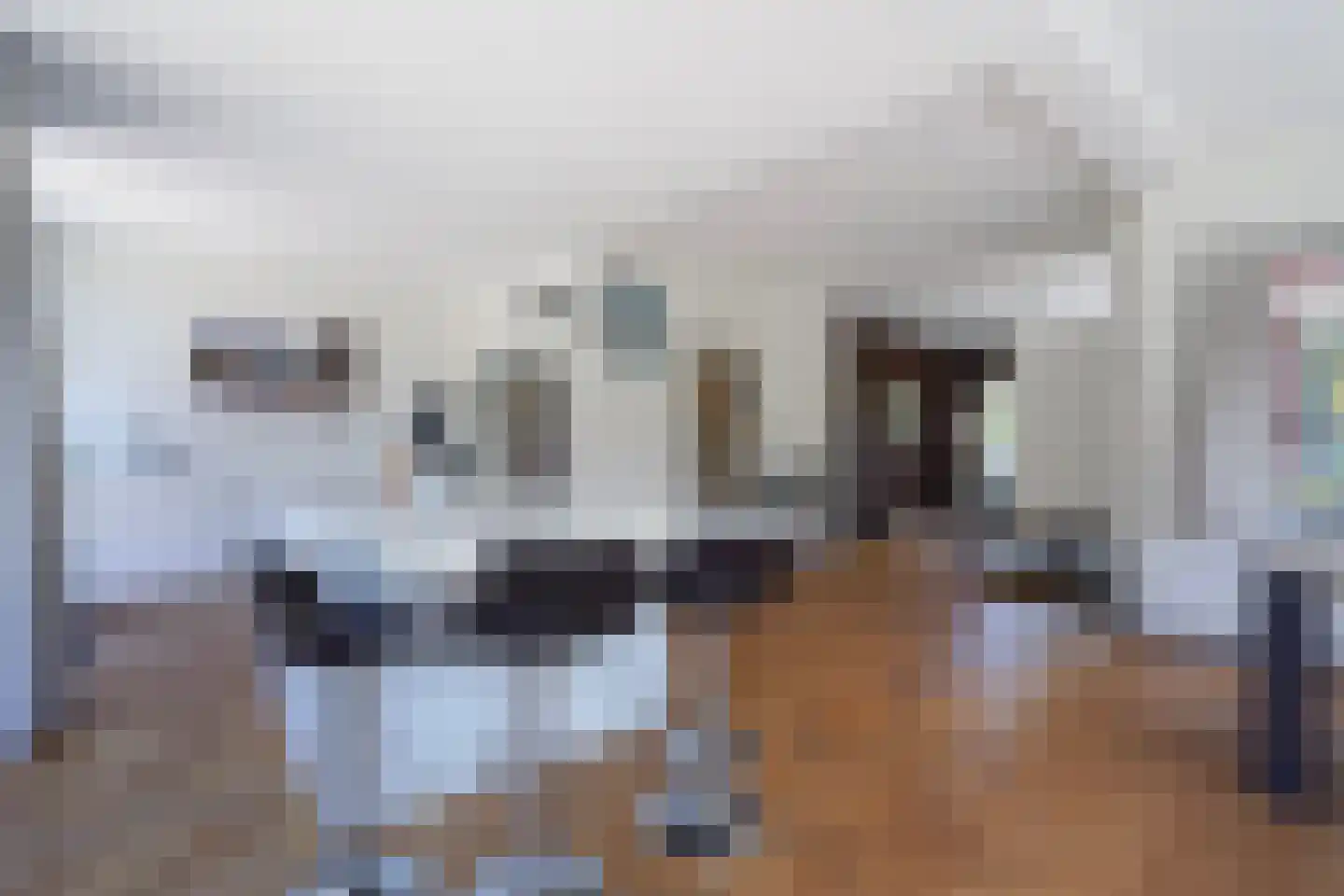 Pauwenlaan 89 Den Haag thumbnail 17