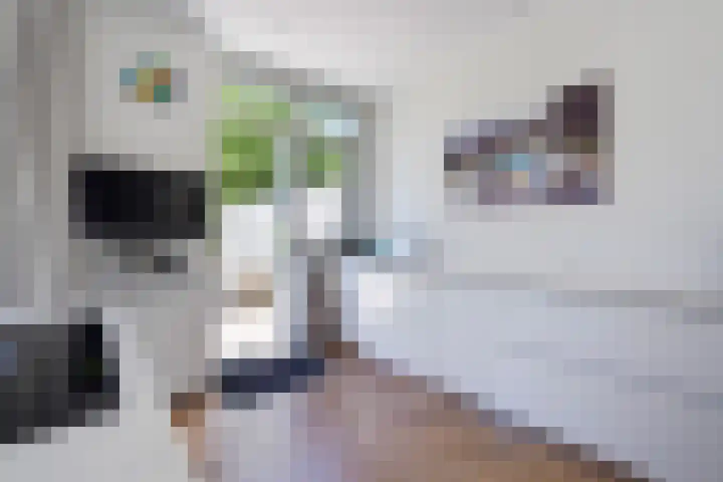 Pauwenlaan 89 Den Haag thumbnail 21