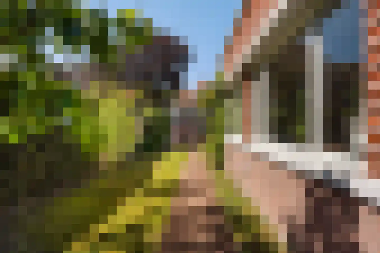 Pauwenlaan 89 Den Haag thumbnail 22