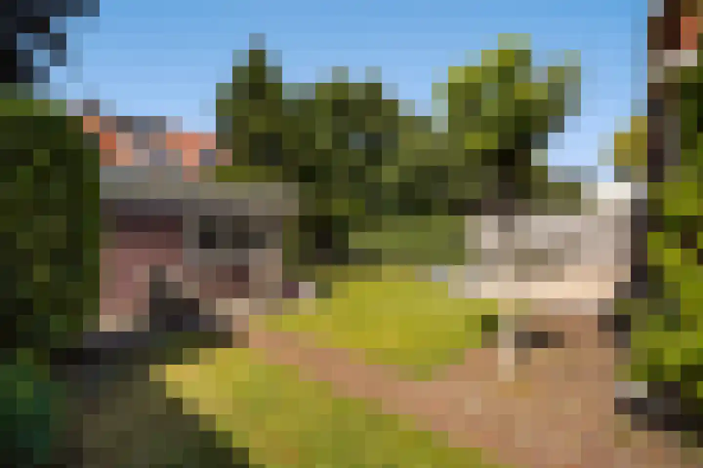 Pauwenlaan 89 Den Haag thumbnail 23