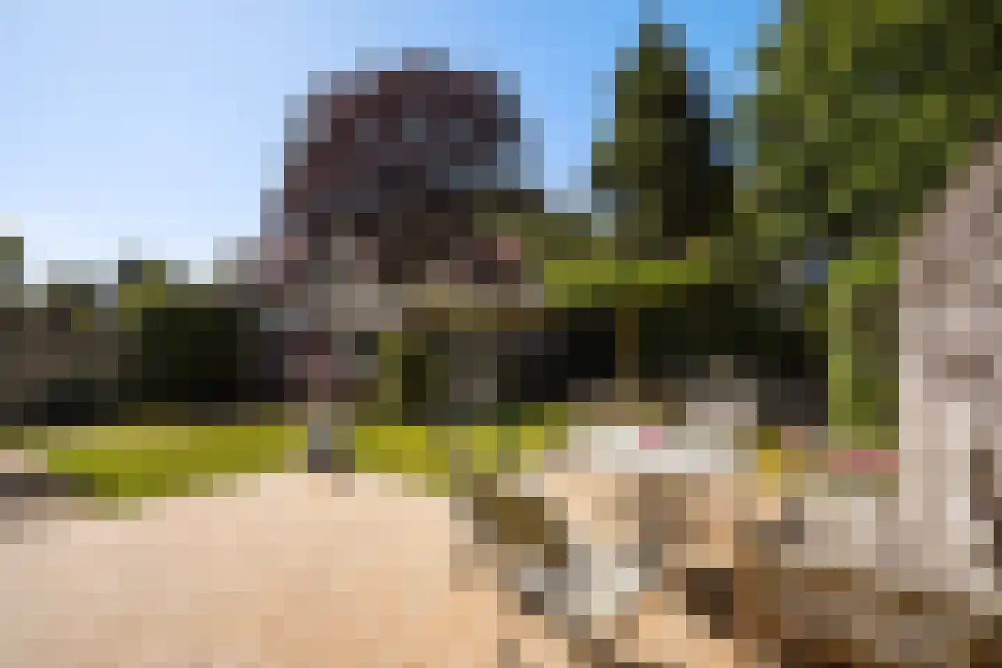 Pauwenlaan 89 Den Haag thumbnail 24