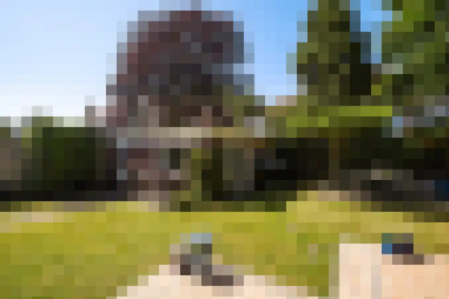 Pauwenlaan 89 Den Haag thumbnail 25