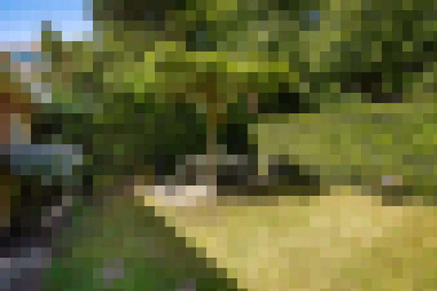 Pauwenlaan 89 Den Haag thumbnail 27