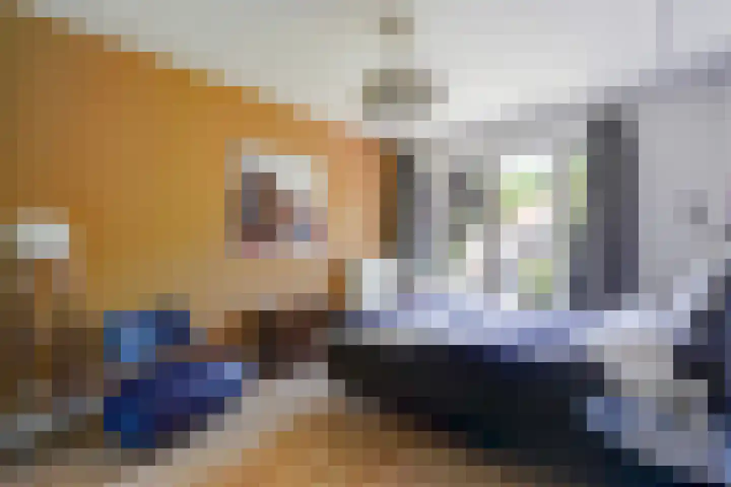 Pauwenlaan 89 Den Haag thumbnail 36