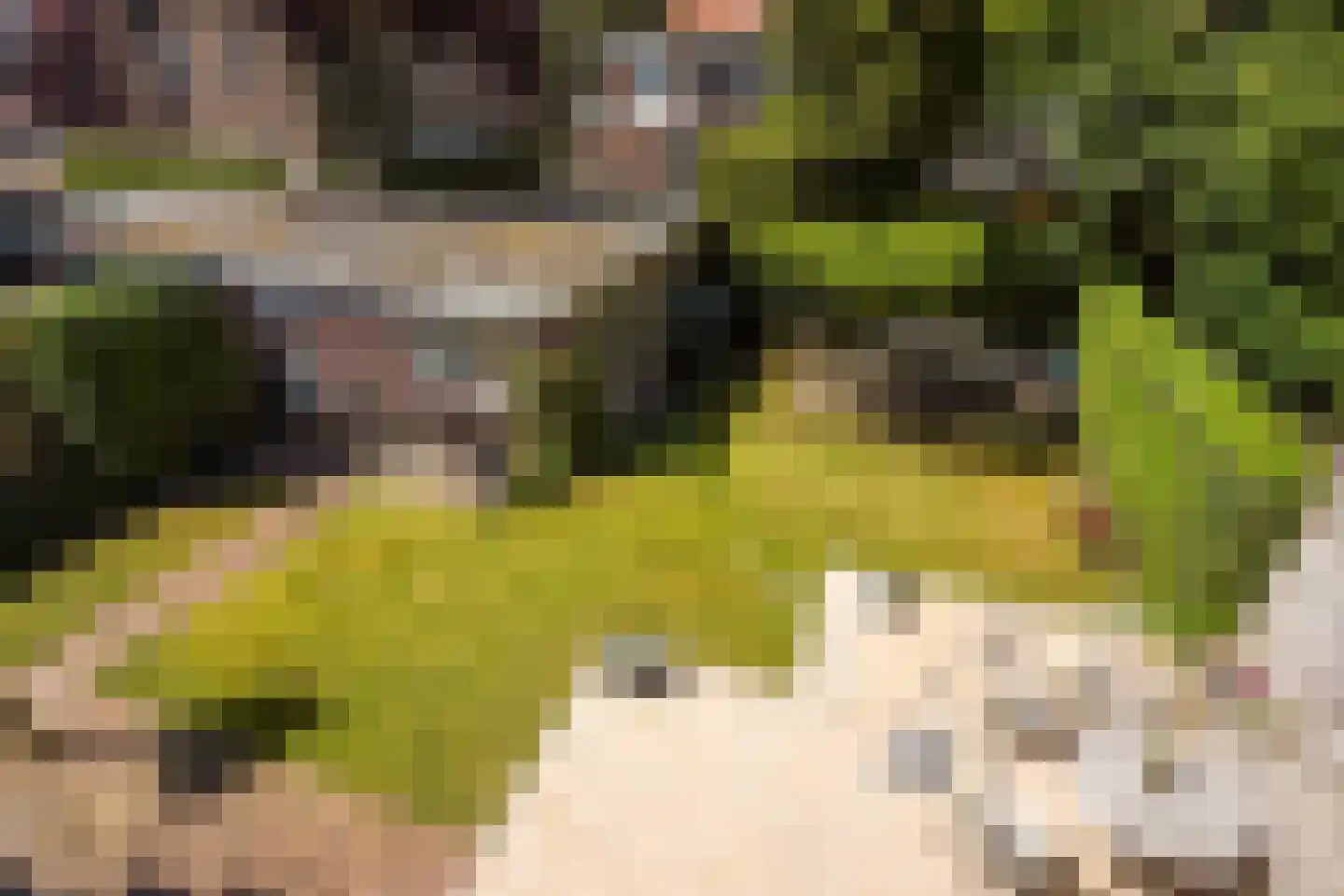Pauwenlaan 89 Den Haag thumbnail 39