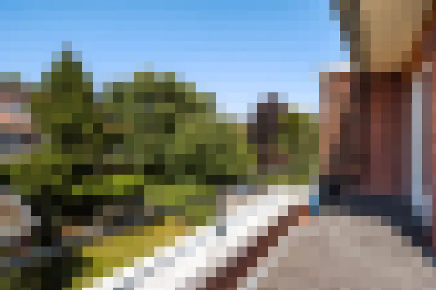 Pauwenlaan 89 Den Haag thumbnail 42