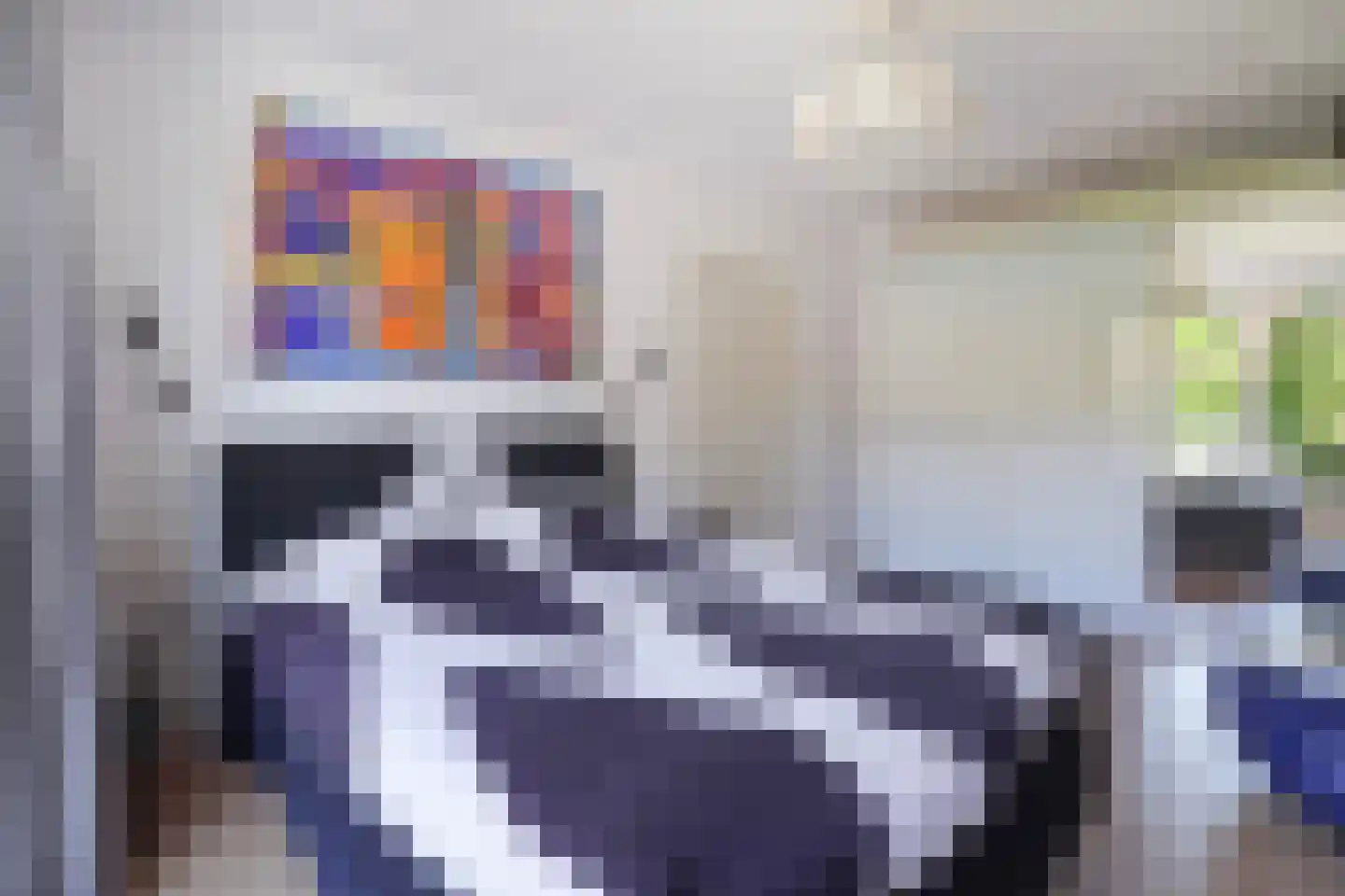 Pauwenlaan 89 Den Haag thumbnail 43
