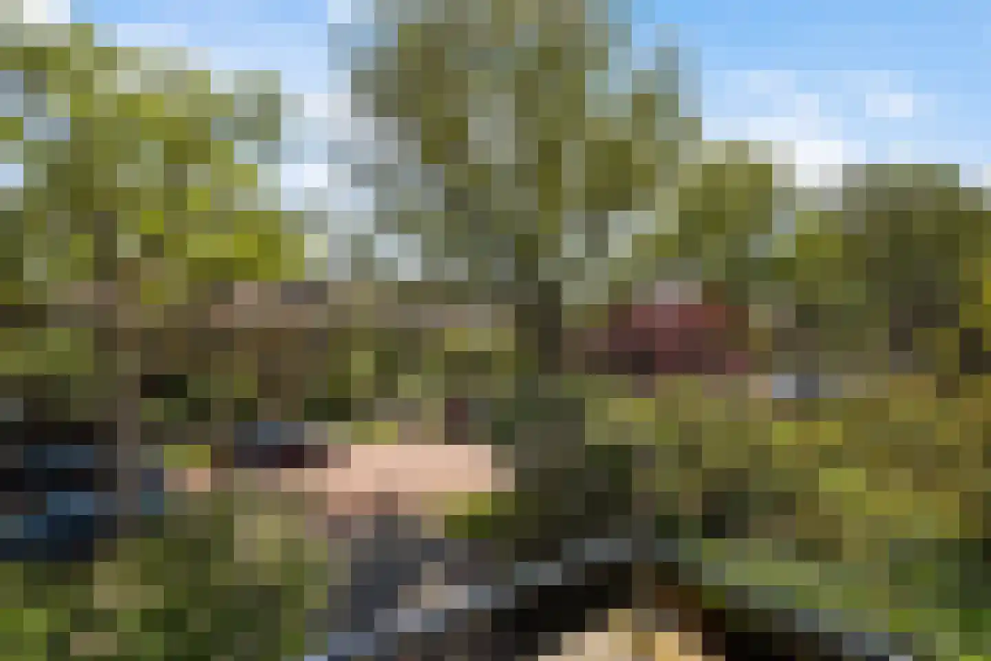 Pauwenlaan 89 Den Haag thumbnail 48