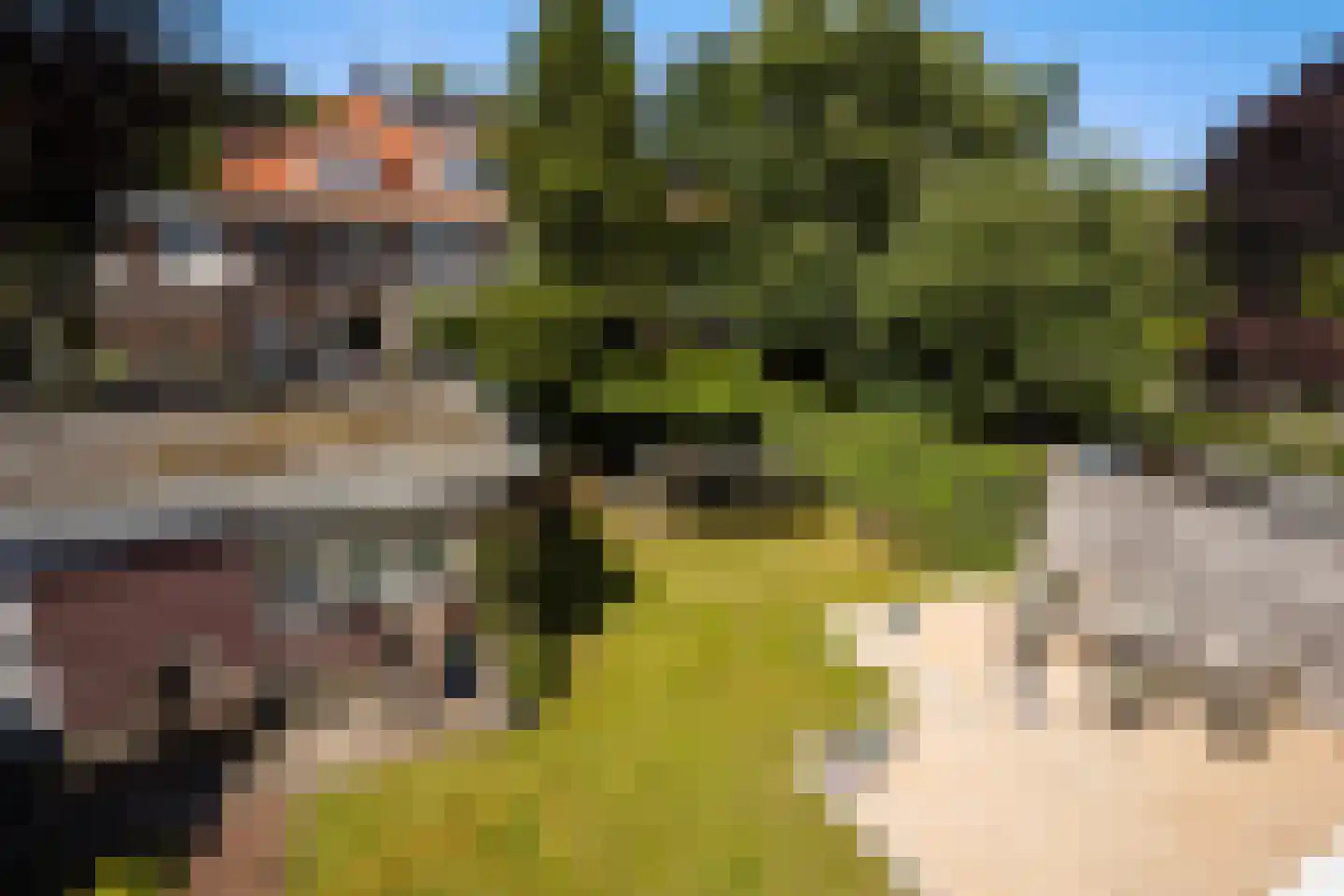Pauwenlaan 89 Den Haag thumbnail 49