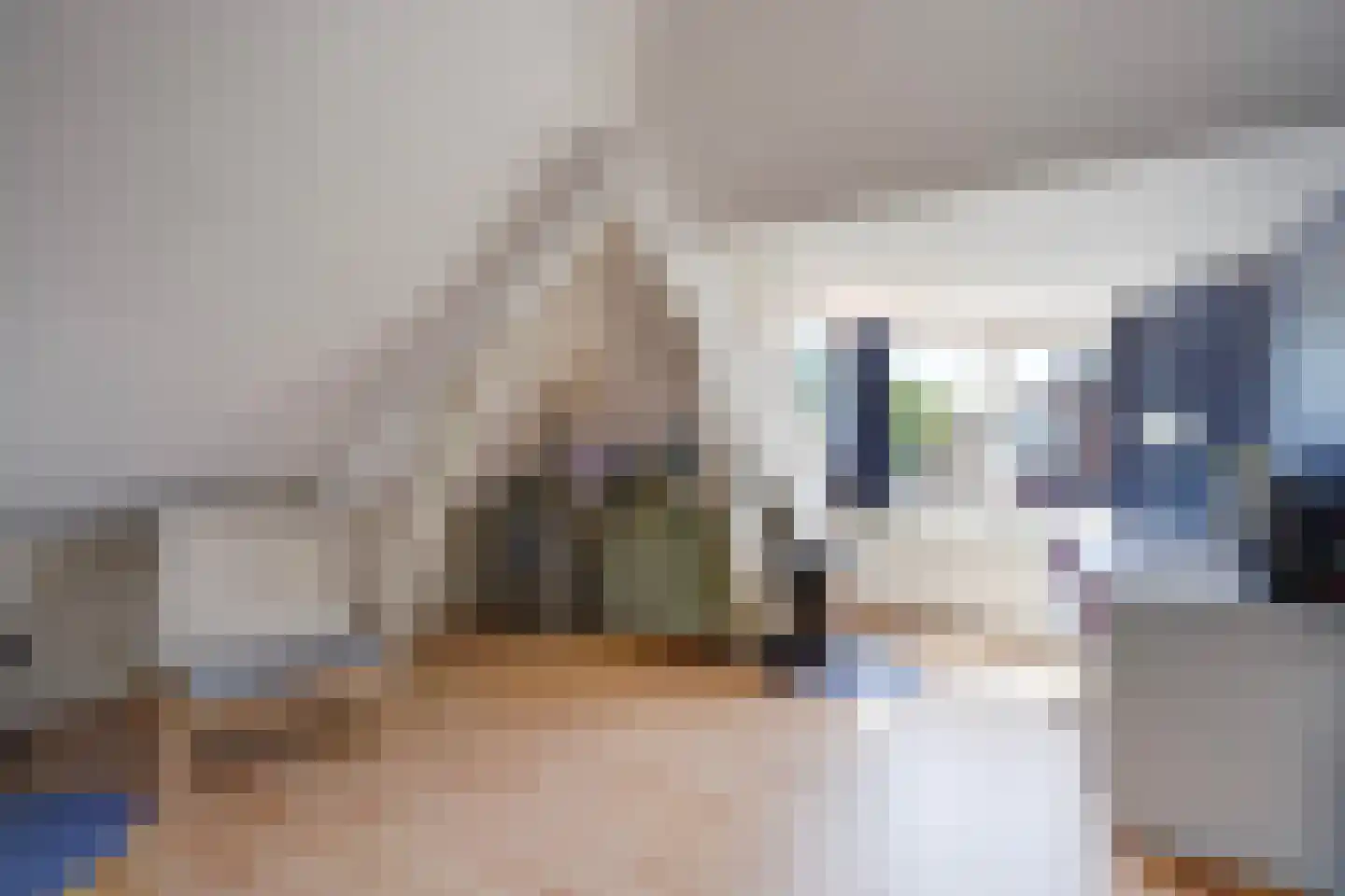 Pauwenlaan 89 Den Haag thumbnail 58