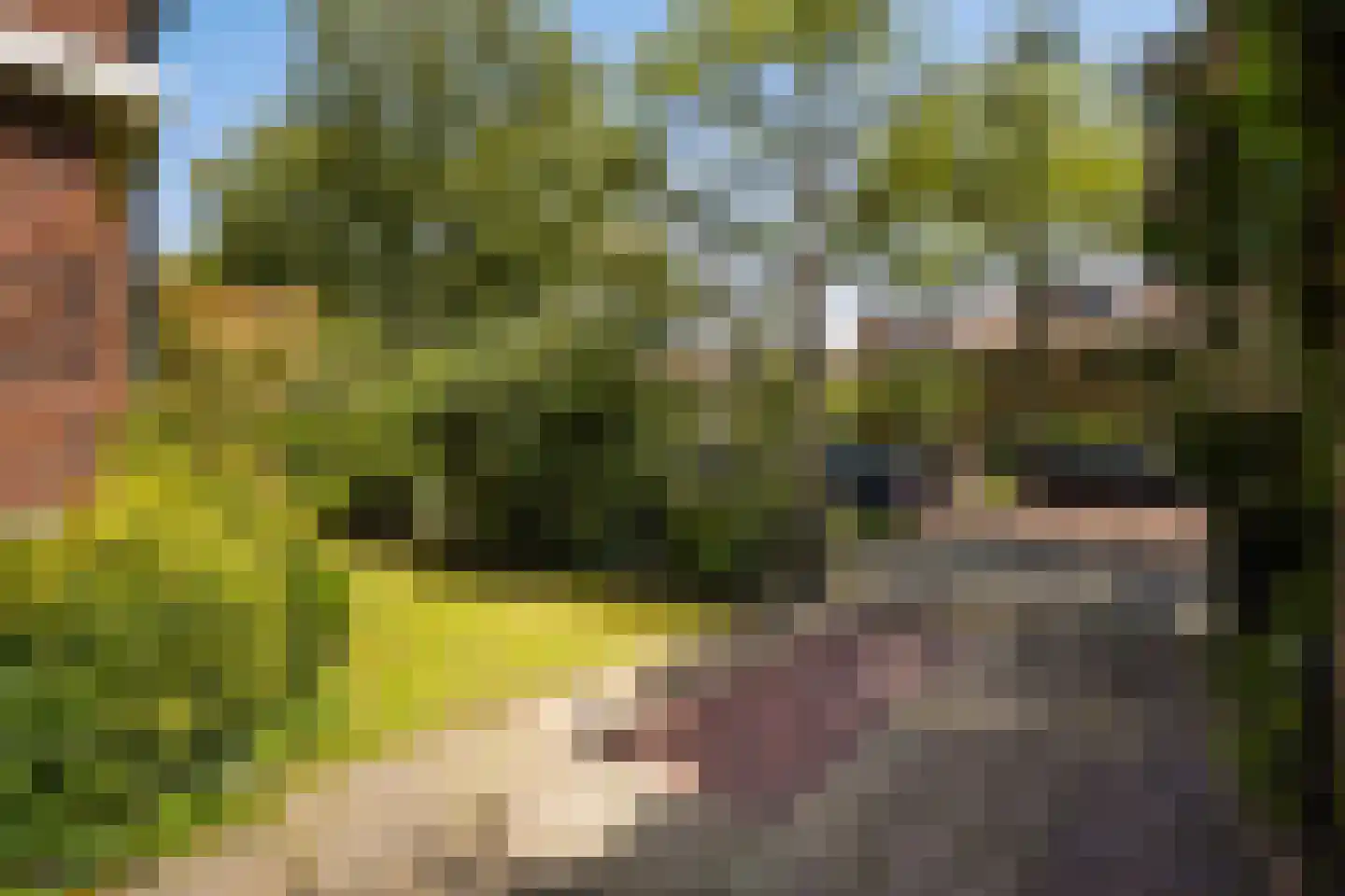 Pauwenlaan 89 Den Haag thumbnail 62