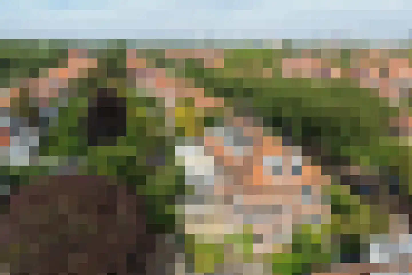 Pauwenlaan 89 Den Haag thumbnail 67