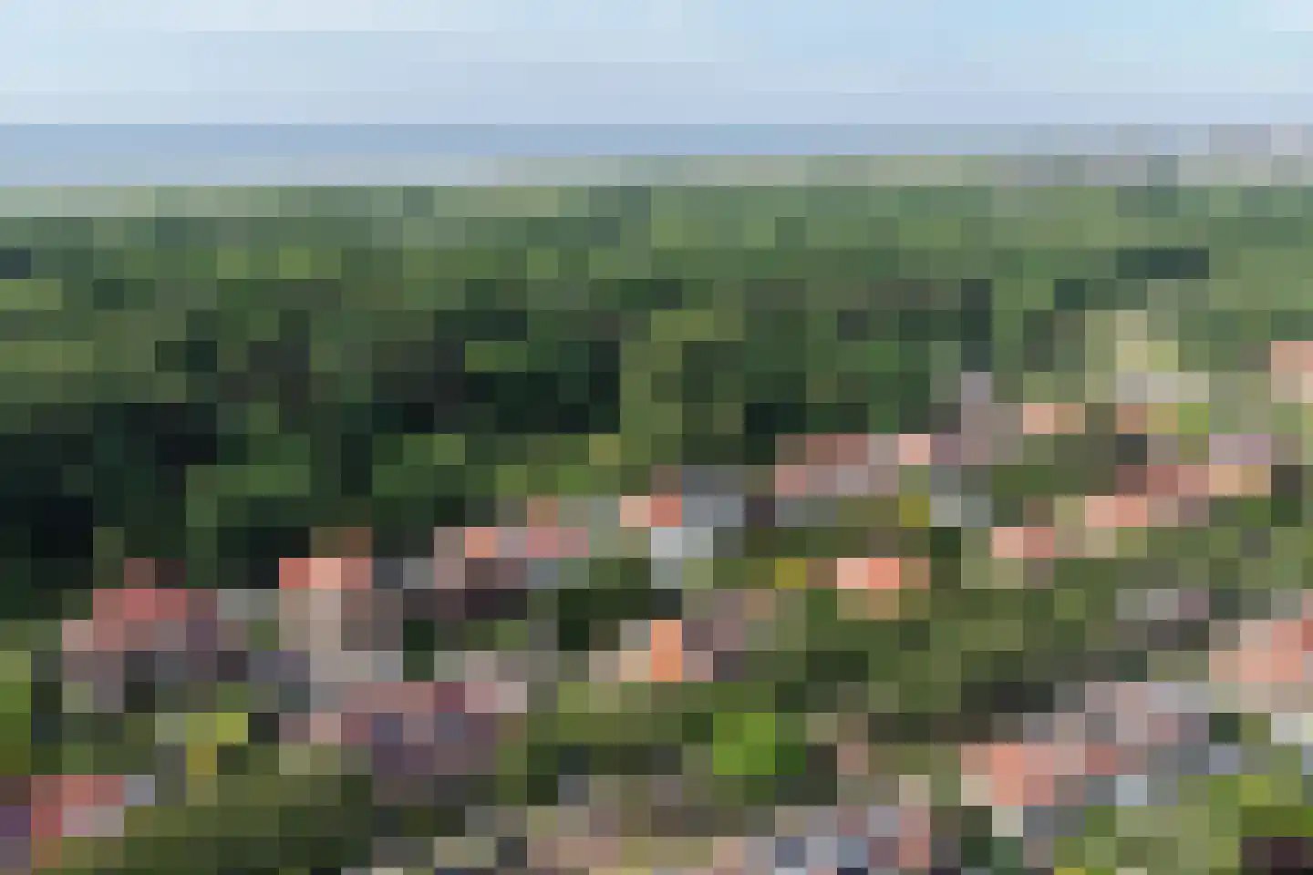 Pauwenlaan 89 Den Haag thumbnail 68