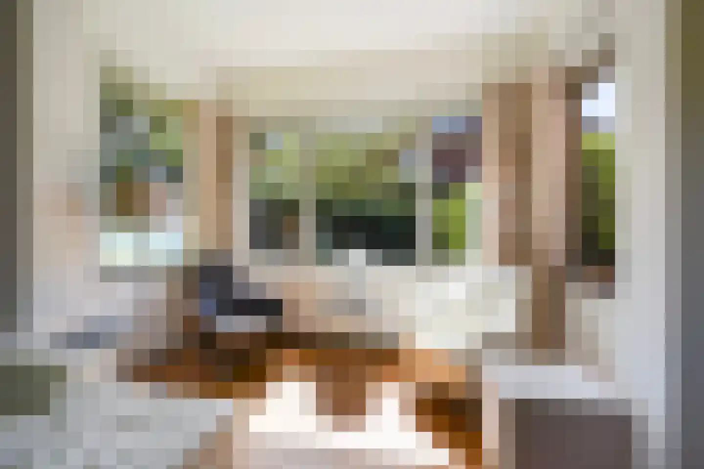 Pauwenlaan 89 Den Haag thumbnail 9
