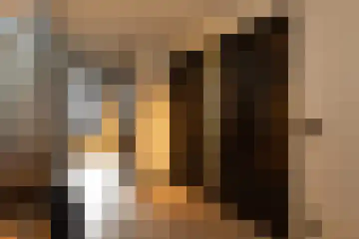 Pauwenstraat 1 Hilversum thumbnail 18