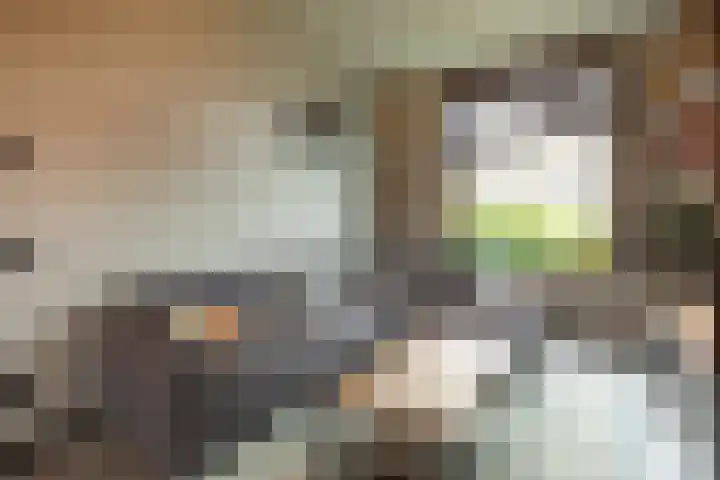 Pauwenstraat 1 Hilversum thumbnail 4