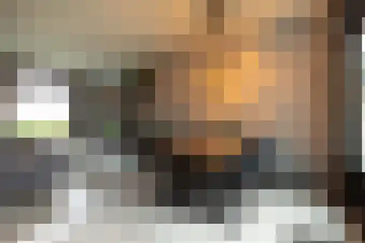 Pauwenstraat 1 Hilversum thumbnail 5