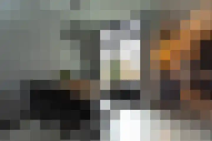 Pauwenstraat 1 Hilversum thumbnail 6