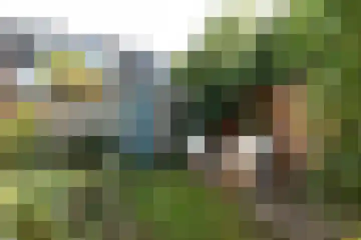 Pauwenstraat 29 Hilversum thumbnail 31