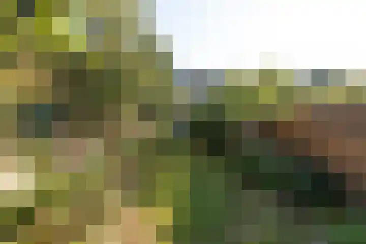 Pauwenstraat 29 Hilversum thumbnail 32