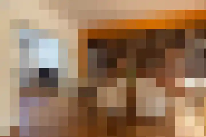 Pauwenstraat 29 Hilversum thumbnail 6