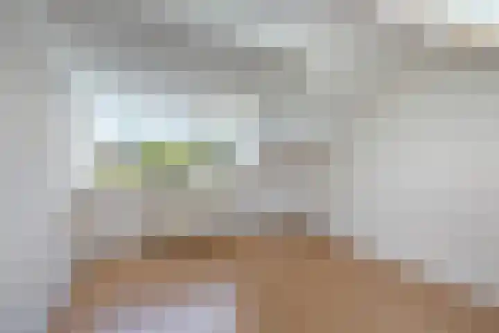 Pauwenstraat 43 A Hilversum thumbnail 25