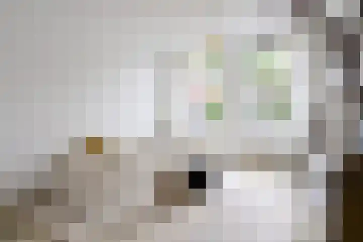 Pauwenstraat 48 Hilversum thumbnail 5