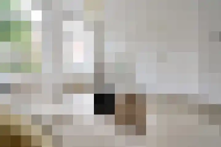 Pauwenstraat 48 Hilversum thumbnail 6