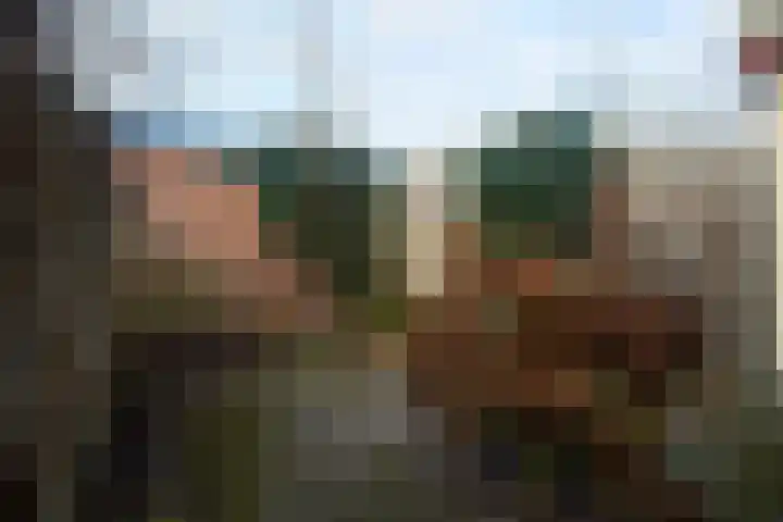 Pauwenstraat 62 Hilversum thumbnail 20