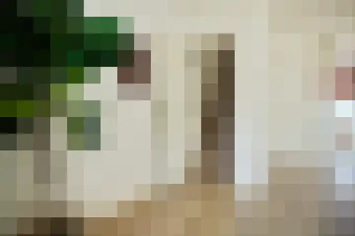 Pauwenstraat 62 Hilversum thumbnail 23