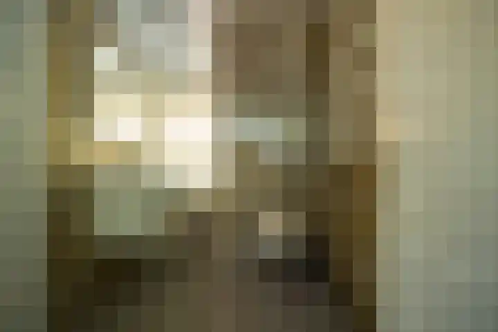 Pauwenstraat 62 Hilversum thumbnail 26