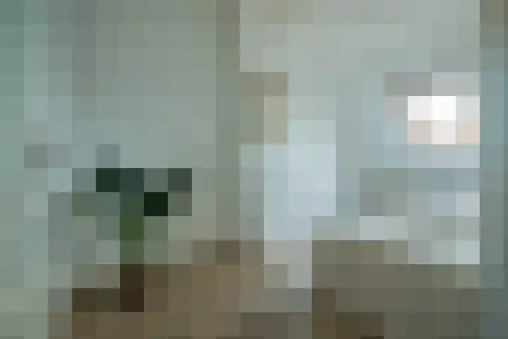 Pauwenstraat 62 Hilversum thumbnail 27