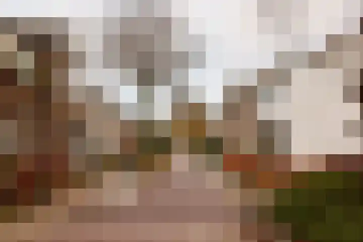 Pauwenstraat 62 Hilversum thumbnail 30