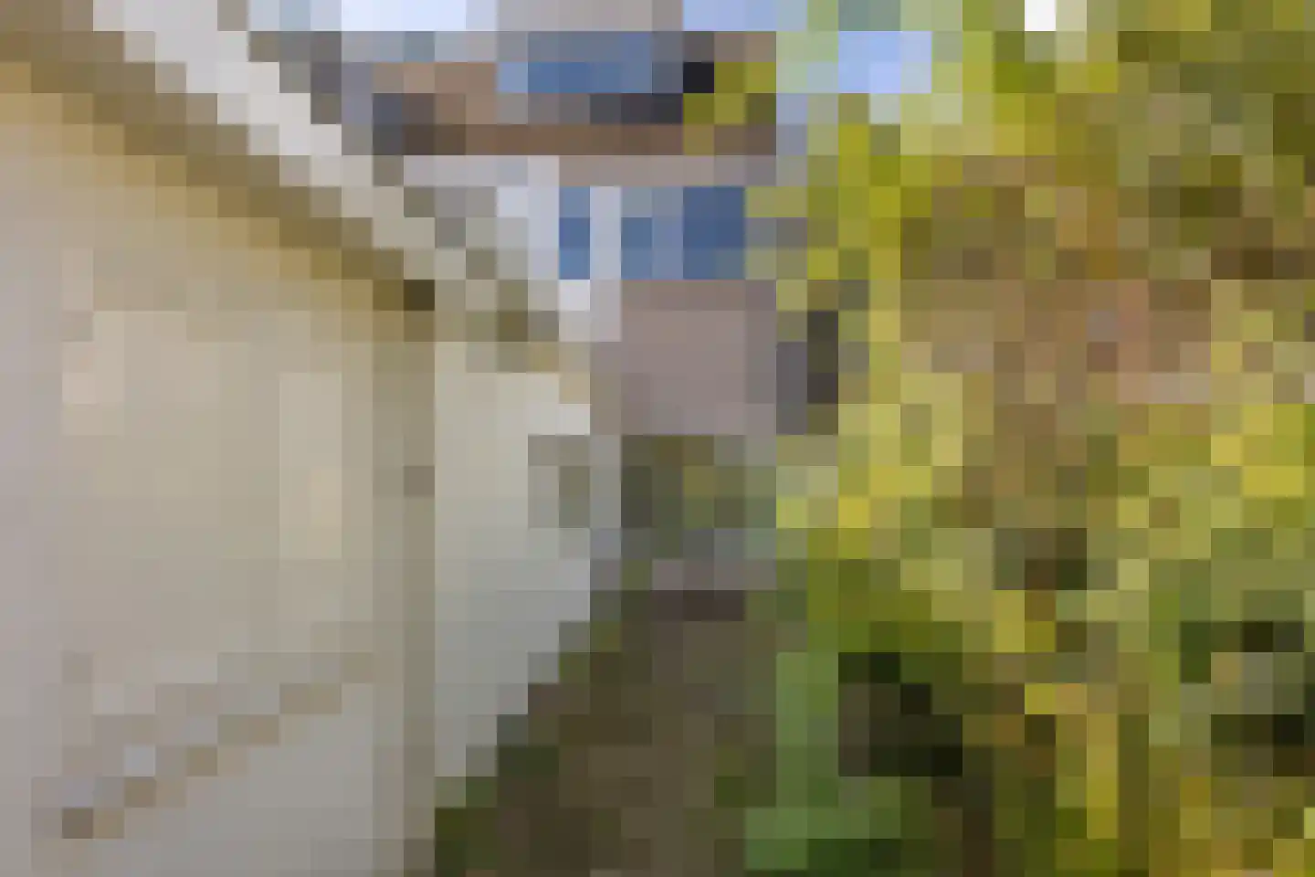 Pauwenstraat 9 Hilversum thumbnail 26