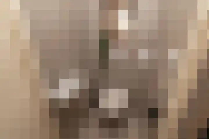 Pauwenveld 13 Zoetermeer thumbnail 14