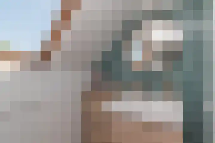 Pauwenveld 13 Zoetermeer thumbnail 31