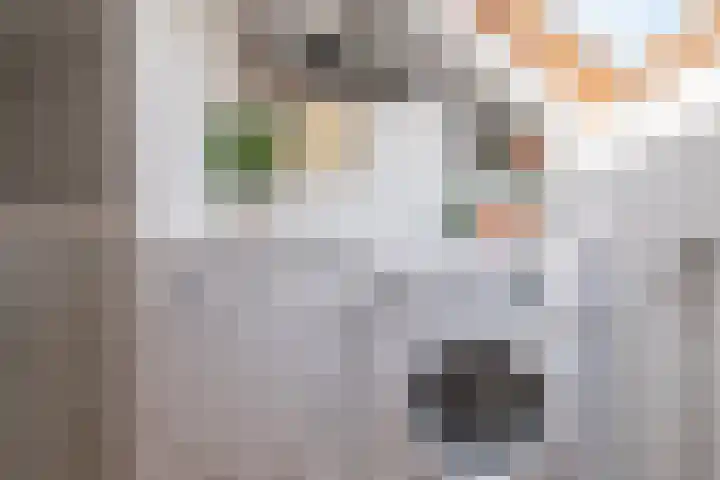 Pauwenveld 13 Zoetermeer thumbnail 33