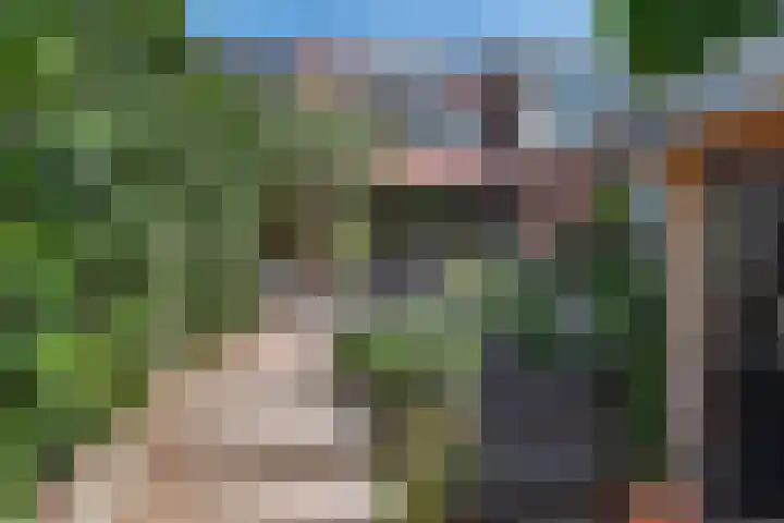 Pauwenveld 13 Zoetermeer thumbnail 34