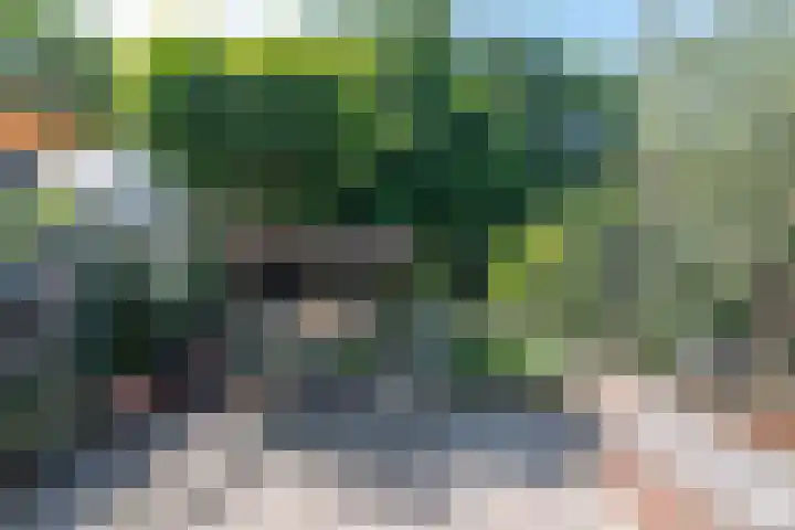 Pauwenveld 13 Zoetermeer thumbnail 36