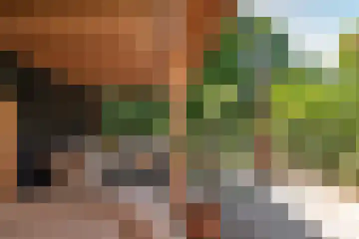 Pauwenveld 13 Zoetermeer thumbnail 38