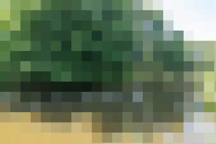 Pauwenveld 13 Zoetermeer thumbnail 39